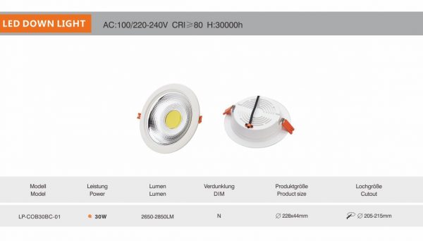 BC Series (LED DOWLIGHT)